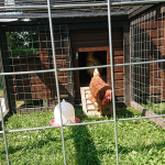 Na, ausgeschlafen? Na, ausgeschlafen?