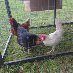 Unsere kleine Farm Unsere kleine Farm